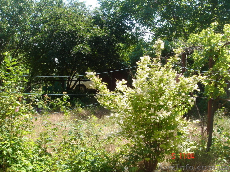 Дача на Хаджибеевском лимане  недорого!  - <ro>Изображение</ro><ru>Изображение</ru> #7, <ru>Объявление</ru> #692210