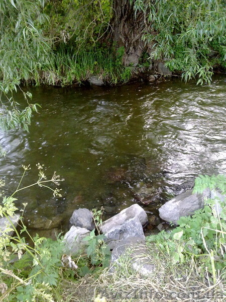 Дача на Буге Одесская область - <ro>Изображение</ro><ru>Изображение</ru> #5, <ru>Объявление</ru> #700132