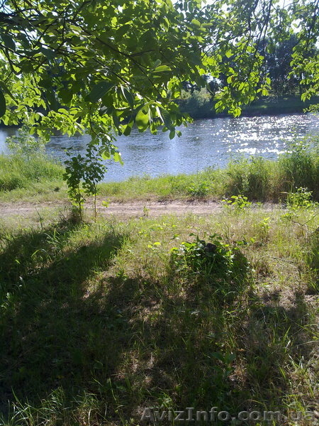 Дача на Буге Одесская область - <ro>Изображение</ro><ru>Изображение</ru> #8, <ru>Объявление</ru> #700132