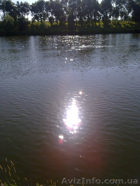 Дача на Буге Одесская область - <ro>Изображение</ro><ru>Изображение</ru> #7, <ru>Объявление</ru> #700132