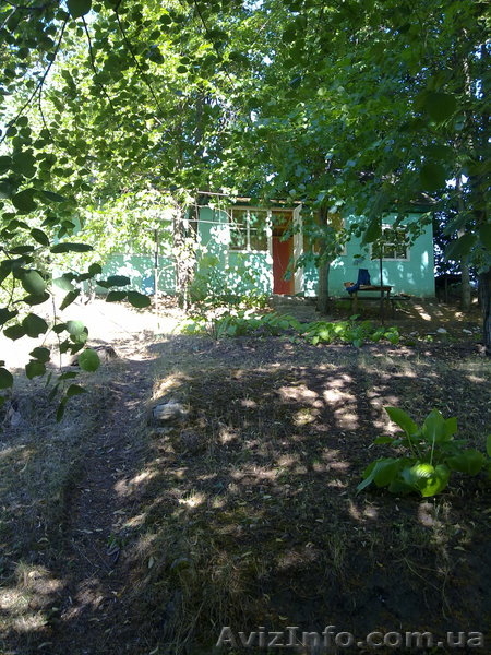 Дача на Буге Одесская область - <ro>Изображение</ro><ru>Изображение</ru> #3, <ru>Объявление</ru> #700132