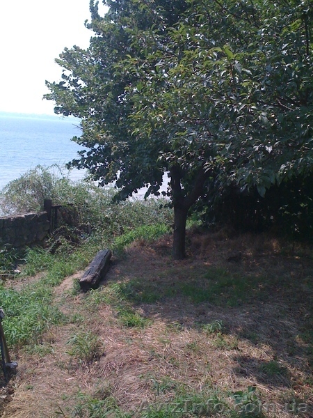 СДАМ Места для палаток для отдыха в Одессе (Украина) возле самого моря - <ro>Изображение</ro><ru>Изображение</ru> #6, <ru>Объявление</ru> #334791