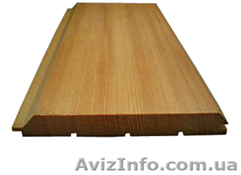 Лиственница сибирская Украина - <ro>Изображение</ro><ru>Изображение</ru> #7, <ru>Объявление</ru> #144645