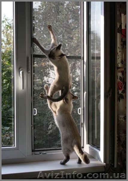 Металлопластиковые окна.Немецкое качество за оптимальную цену! - <ro>Изображение</ro><ru>Изображение</ru> #7, <ru>Объявление</ru> #711925