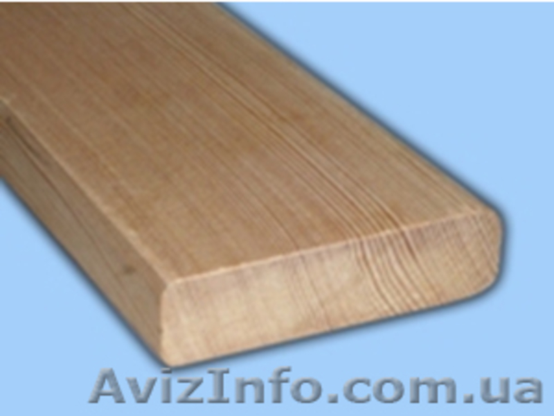 Лиственница сибирская Украина - <ro>Изображение</ro><ru>Изображение</ru> #6, <ru>Объявление</ru> #144645