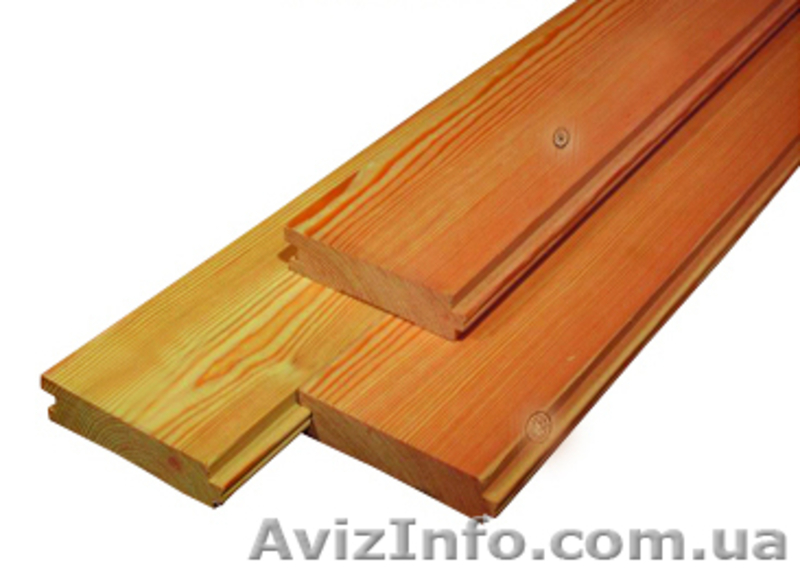 Лиственница сибирская Украина - <ro>Изображение</ro><ru>Изображение</ru> #3, <ru>Объявление</ru> #144645