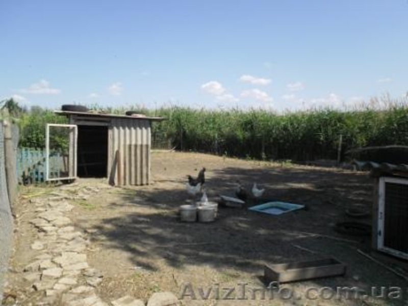 Дом с видом на Хаджибейский лиман - <ro>Изображение</ro><ru>Изображение</ru> #9, <ru>Объявление</ru> #706918