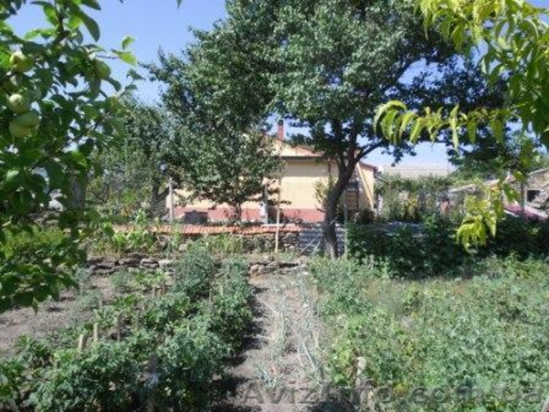 Дом с видом на Хаджибейский лиман - <ro>Изображение</ro><ru>Изображение</ru> #3, <ru>Объявление</ru> #706918