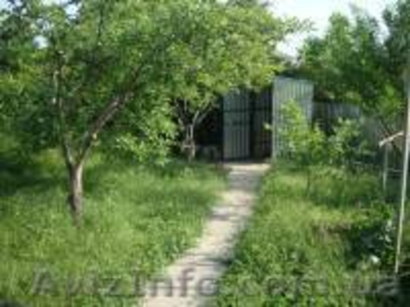 Продаю дом-дачу в Коминтерновском р-не с.Бурдовка Кооператив "Бриз" - <ro>Изображение</ro><ru>Изображение</ru> #6, <ru>Объявление</ru> #658535