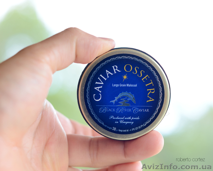 Черная осетровая (осетра) икра купить натуральную - <ro>Изображение</ro><ru>Изображение</ru> #7, <ru>Объявление</ru> #400948