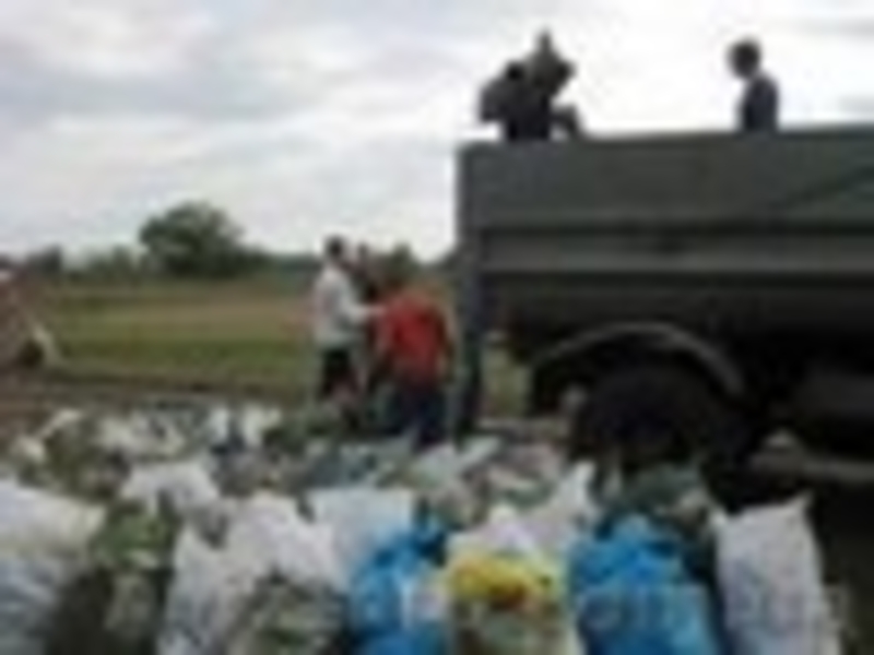 Вывоз мусора хлама - <ro>Изображение</ro><ru>Изображение</ru> #3, <ru>Объявление</ru> #734404