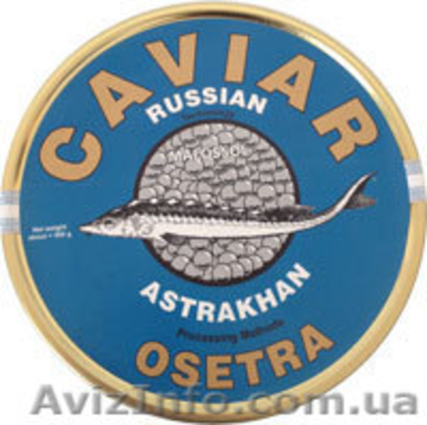 Черная осетровая (осетра) икра купить натуральную - <ro>Изображение</ro><ru>Изображение</ru> #4, <ru>Объявление</ru> #400948