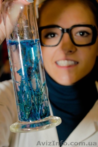 Программа ХИМИК - ШОУ !!! - <ro>Изображение</ro><ru>Изображение</ru> #3, <ru>Объявление</ru> #746991