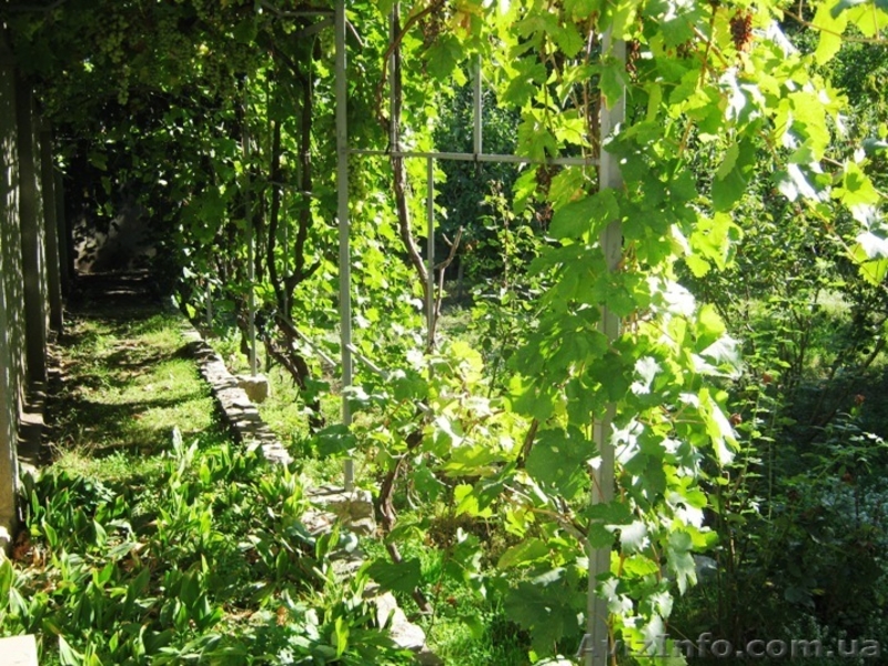 Продам 3-х этажный дом в Аркадии на ул. Курчатова Ак. - <ro>Изображение</ro><ru>Изображение</ru> #10, <ru>Объявление</ru> #754895