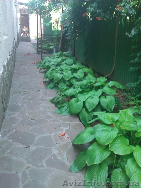 Сдам дом на Петрашевского - <ro>Изображение</ro><ru>Изображение</ru> #3, <ru>Объявление</ru> #755920