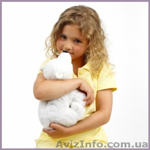 Игрушки-грелки 4в1 Warmies Германия - <ro>Изображение</ro><ru>Изображение</ru> #4, <ru>Объявление</ru> #770670