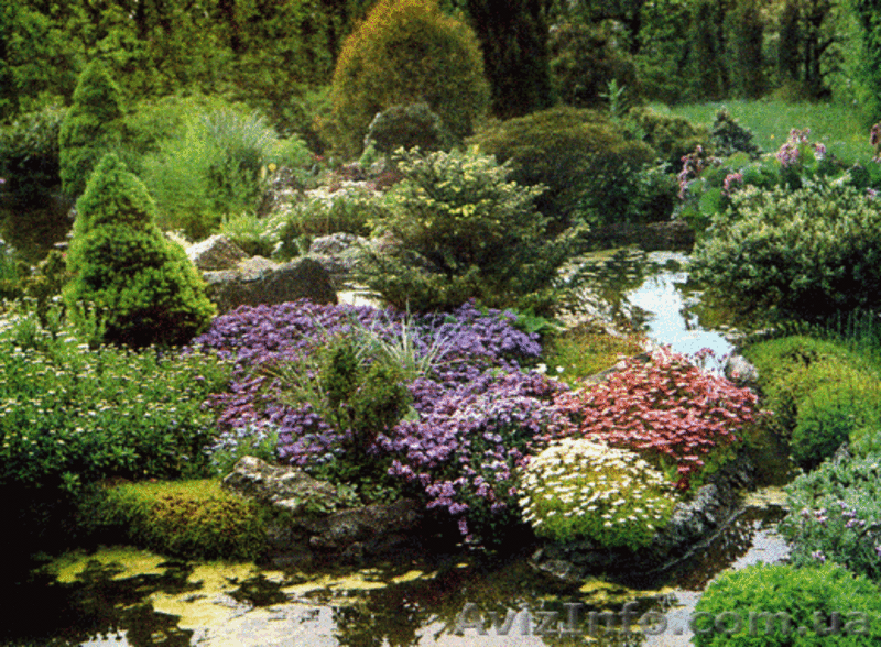 ландшафт, озеленение,благоустройство - <ro>Изображение</ro><ru>Изображение</ru> #3, <ru>Объявление</ru> #773399