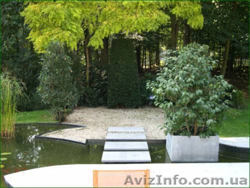 ландшафт, озеленение,благоустройство - <ro>Изображение</ro><ru>Изображение</ru> #4, <ru>Объявление</ru> #773399