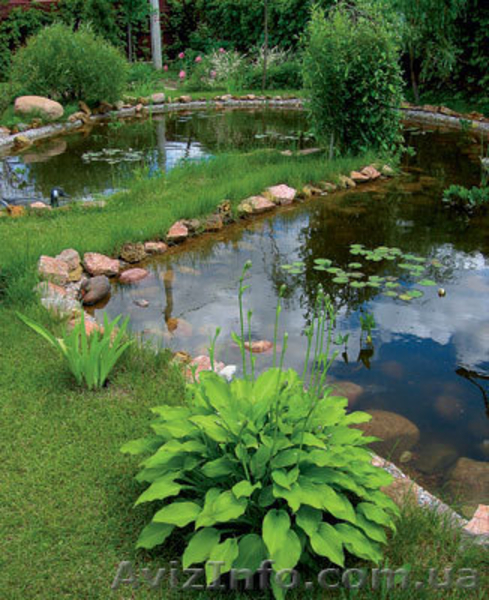 ландшафт, озеленение,благоустройство - <ro>Изображение</ro><ru>Изображение</ru> #10, <ru>Объявление</ru> #773399