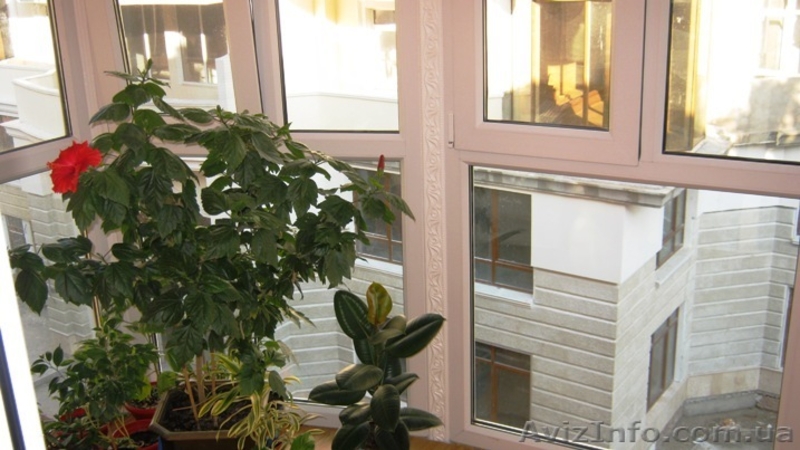 Продам 2-комн. квартиру на ул. Польская - <ro>Изображение</ro><ru>Изображение</ru> #9, <ru>Объявление</ru> #778537