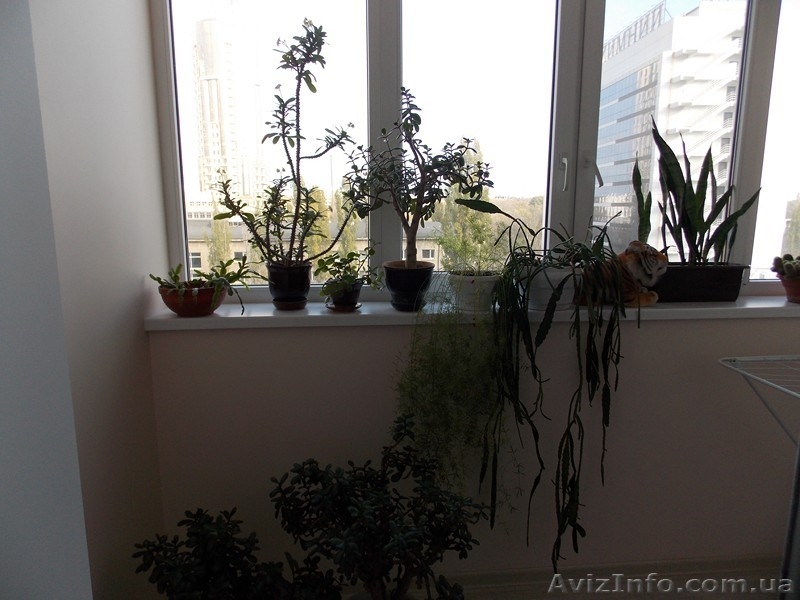 Сдается квартира в новострое. - <ro>Изображение</ro><ru>Изображение</ru> #9, <ru>Объявление</ru> #794752