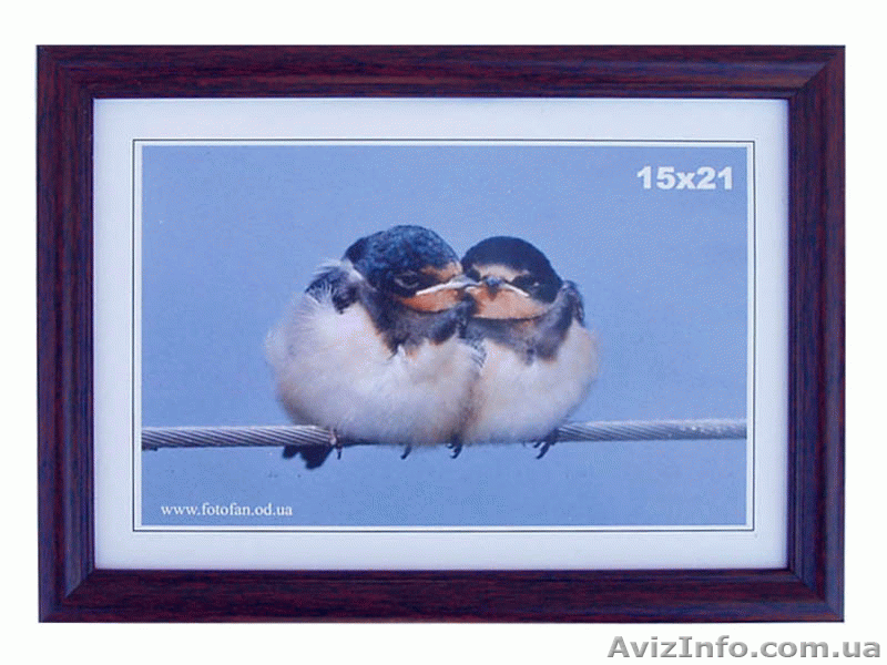 Рамки для грамот, дипломов, фотографий - <ro>Изображение</ro><ru>Изображение</ru> #3, <ru>Объявление</ru> #803980