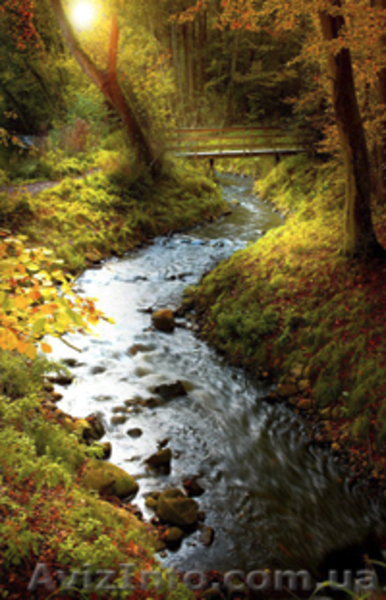 Лучший подарок к празднику – картина-обогреватель! - <ro>Изображение</ro><ru>Изображение</ru> #3, <ru>Объявление</ru> #805741