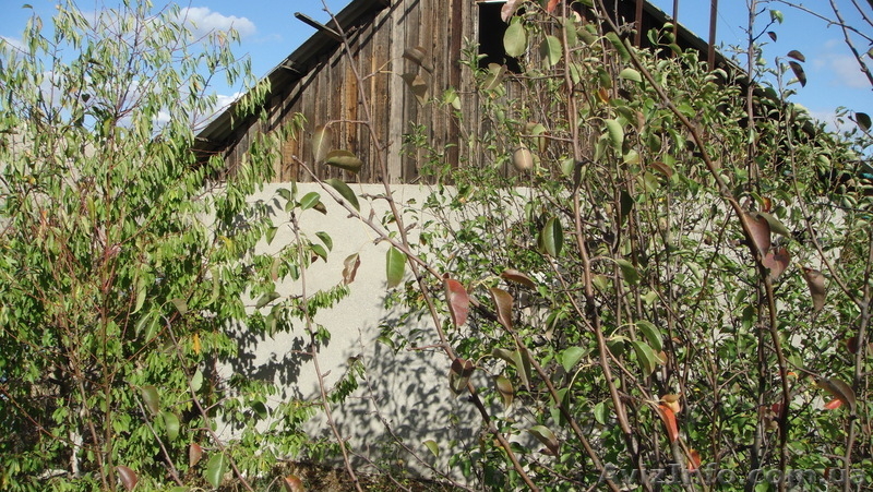 Продам свою дачу в Алтестово.Супер предложение! - <ro>Изображение</ro><ru>Изображение</ru> #4, <ru>Объявление</ru> #848170