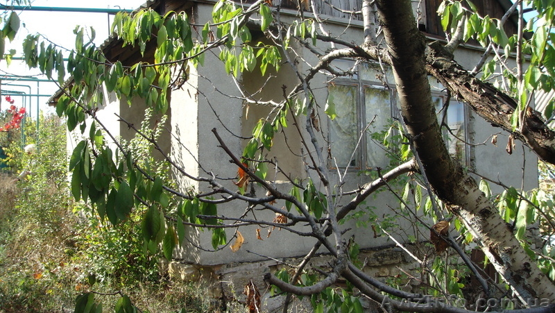 Продам свою дачу в Алтестово.Супер предложение! - <ro>Изображение</ro><ru>Изображение</ru> #6, <ru>Объявление</ru> #848170