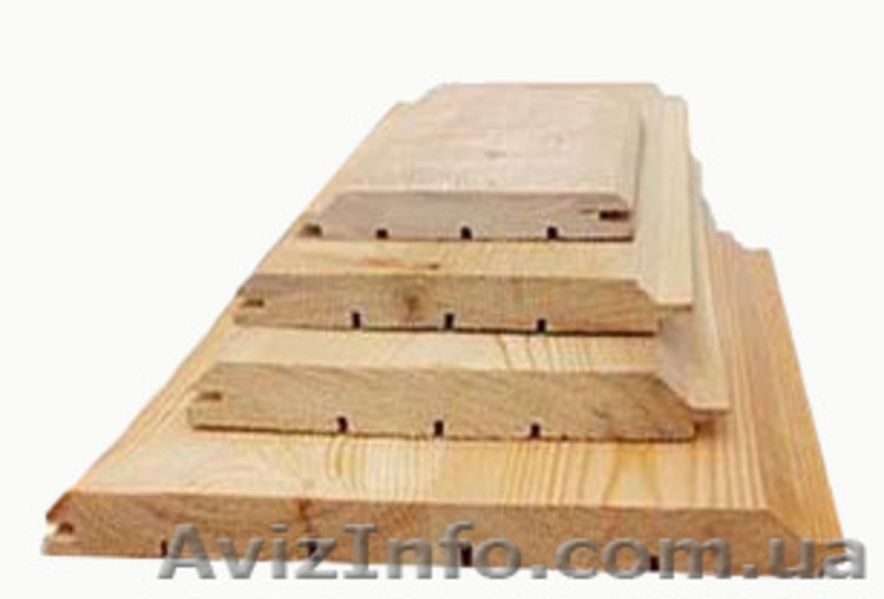 Сибирская лиственница Одесса - <ro>Изображение</ro><ru>Изображение</ru> #4, <ru>Объявление</ru> #857927