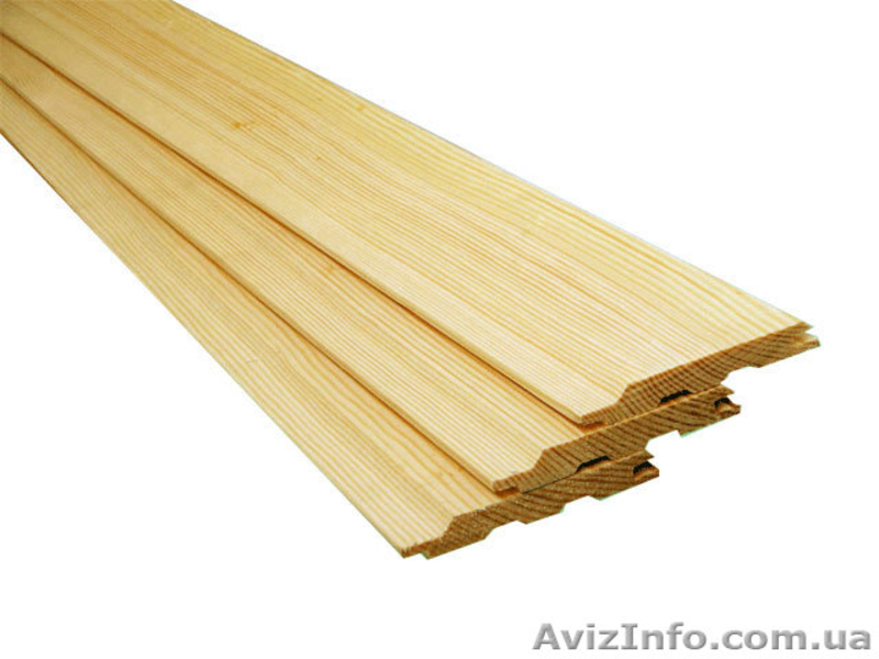 Сибирская лиственница Одесса - <ro>Изображение</ro><ru>Изображение</ru> #6, <ru>Объявление</ru> #857927