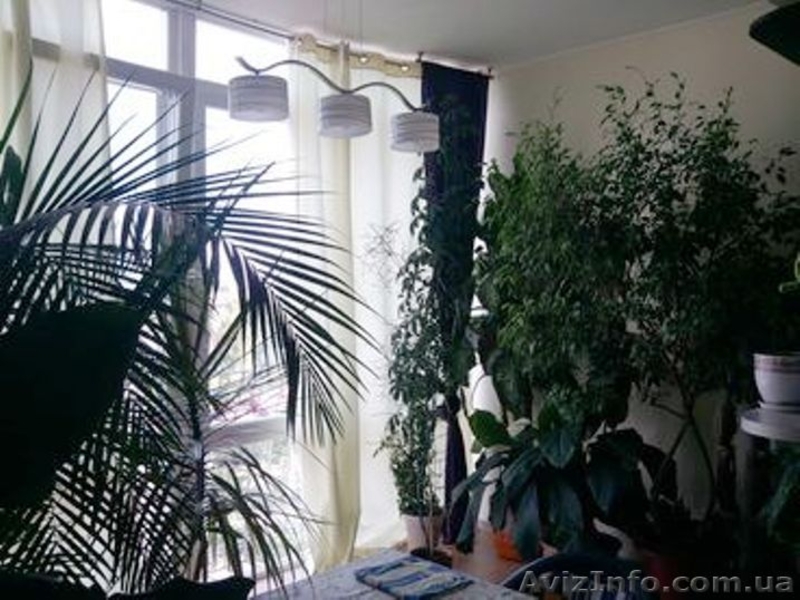 Продам великолепную 2-х комн. квартиру возле моря - <ro>Изображение</ro><ru>Изображение</ru> #4, <ru>Объявление</ru> #867663