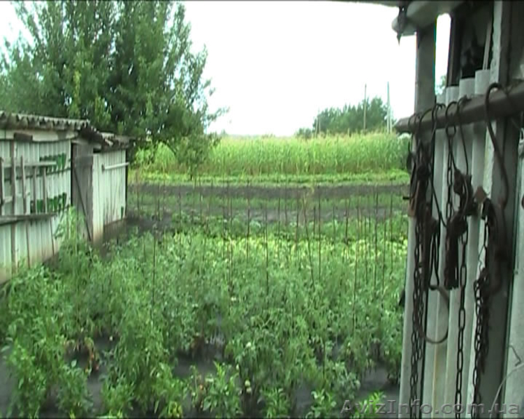 СРОЧНО! Продам участок с домом (0.5 га) в 7 км от г. Раздельная - <ro>Изображение</ro><ru>Изображение</ru> #6, <ru>Объявление</ru> #861767