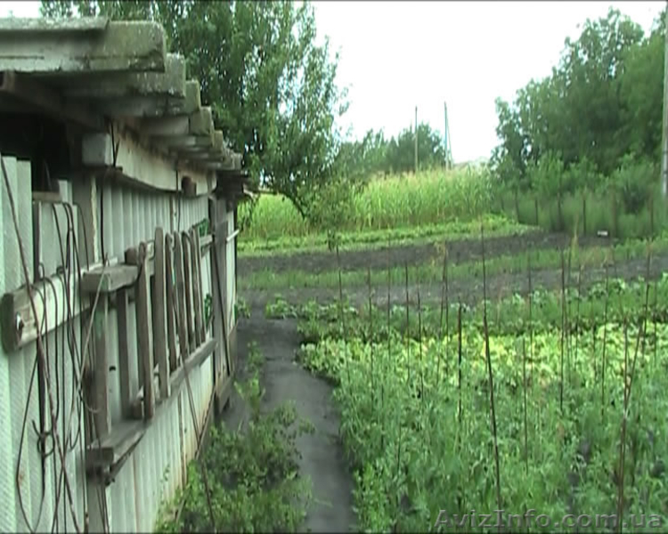 СРОЧНО! Продам участок с домом (0.5 га) в 7 км от г. Раздельная - <ro>Изображение</ro><ru>Изображение</ru> #7, <ru>Объявление</ru> #861767