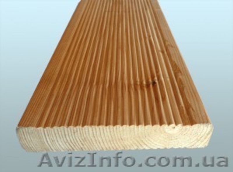 Сибирская лиственница Одесса - <ro>Изображение</ro><ru>Изображение</ru> #3, <ru>Объявление</ru> #857927