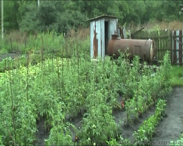 СРОЧНО! Продам участок с домом (0.5 га) в 7 км от г. Раздельная - <ro>Изображение</ro><ru>Изображение</ru> #9, <ru>Объявление</ru> #861767