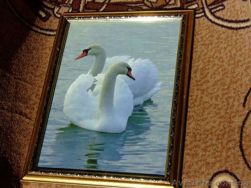 Фотокартины - <ro>Изображение</ro><ru>Изображение</ru> #5, <ru>Объявление</ru> #867757