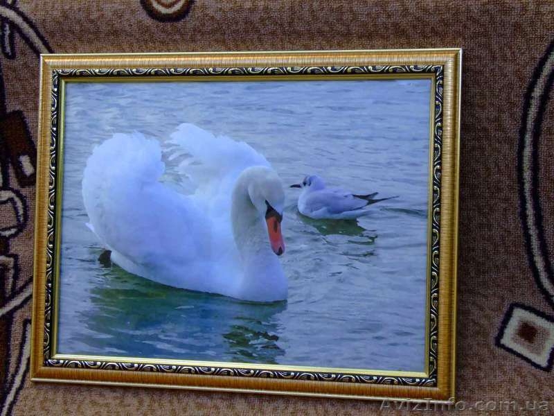 Фотокартины - <ro>Изображение</ro><ru>Изображение</ru> #6, <ru>Объявление</ru> #867757