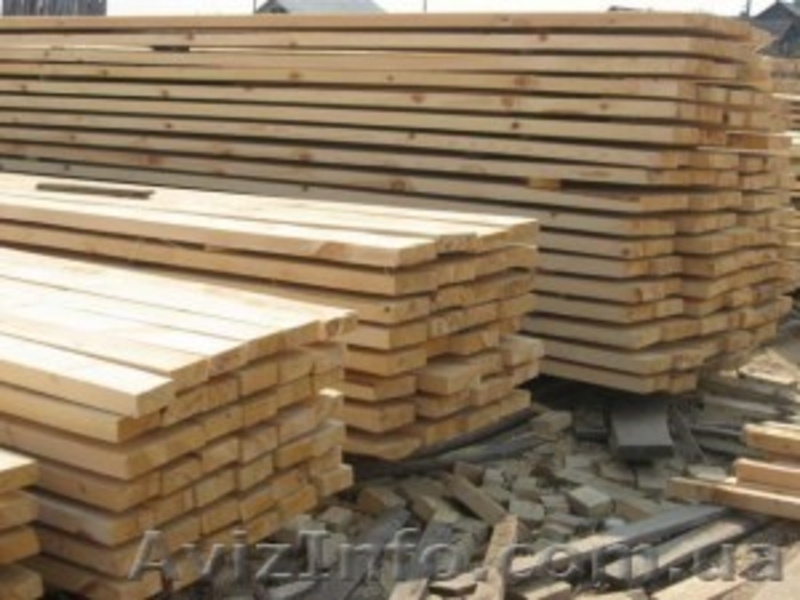 Сибирская лиственница Одесса - <ro>Изображение</ro><ru>Изображение</ru> #8, <ru>Объявление</ru> #857927