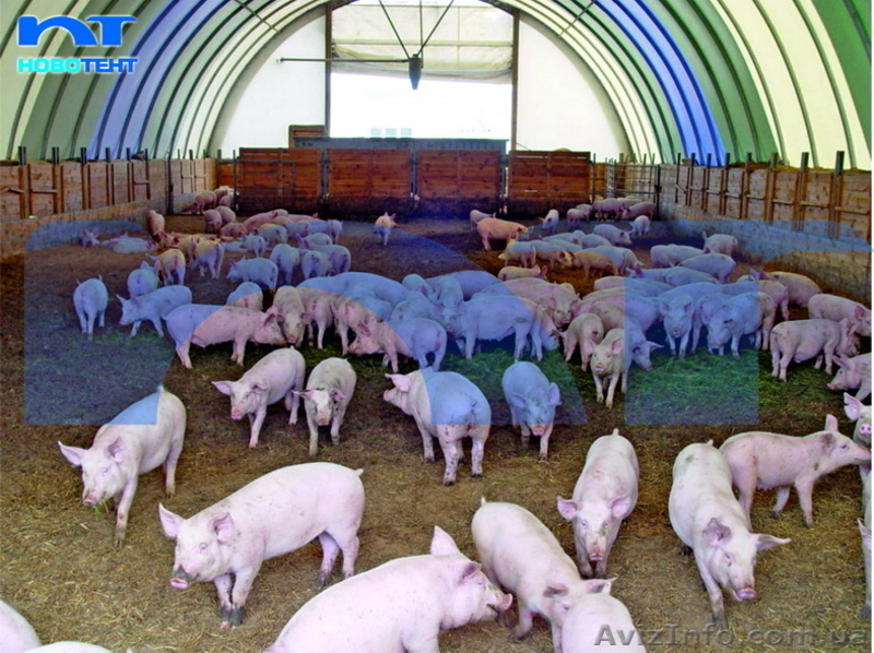 Завод металлотентовых конструкций - <ro>Изображение</ro><ru>Изображение</ru> #7, <ru>Объявление</ru> #876524