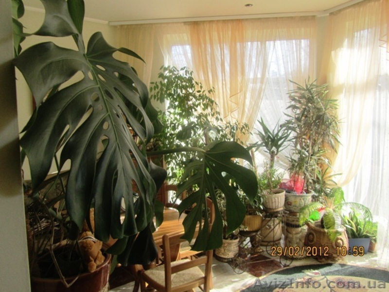 Продам 2-х этажный красивый дом в Аркадии на ул. Леваневского пер. - <ro>Изображение</ro><ru>Изображение</ru> #6, <ru>Объявление</ru> #880097