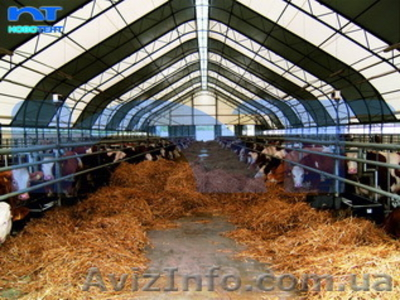 Завод металлотентовых конструкций - <ro>Изображение</ro><ru>Изображение</ru> #5, <ru>Объявление</ru> #876524