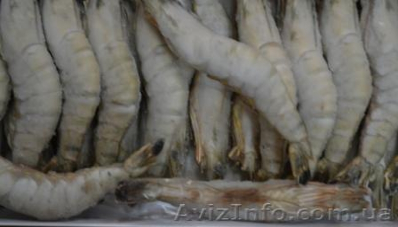 Морепродукты, креветки глубокой заморозки - <ro>Изображение</ro><ru>Изображение</ru> #2, <ru>Объявление</ru> #878834