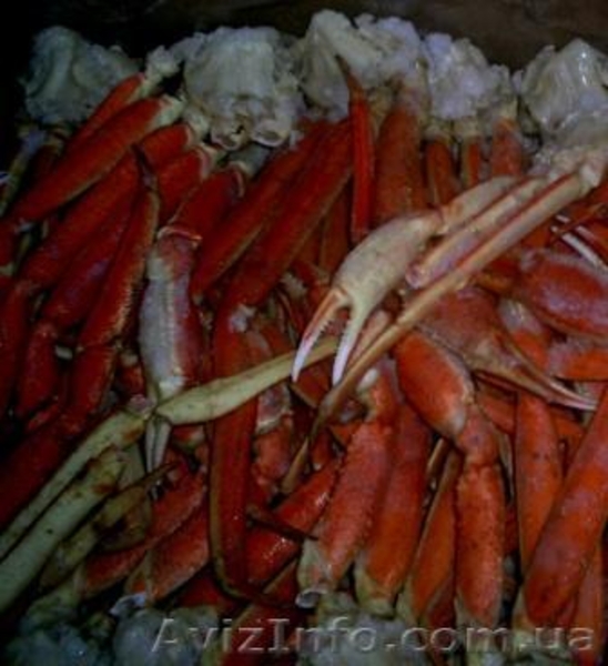 Морепродукты, креветки глубокой заморозки - <ro>Изображение</ro><ru>Изображение</ru> #4, <ru>Объявление</ru> #878834