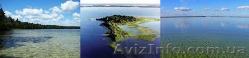 Отдых на Свитязе майский, летний, бархатный. Відпочинок Шацькі озера  - <ro>Изображение</ro><ru>Изображение</ru> #4, <ru>Объявление</ru> #883876