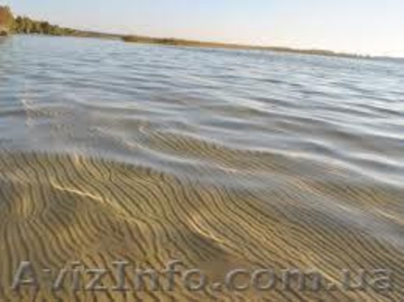 Отдых на Свитязе майский, летний, бархатный. Відпочинок Шацькі озера  - <ro>Изображение</ro><ru>Изображение</ru> #3, <ru>Объявление</ru> #883876