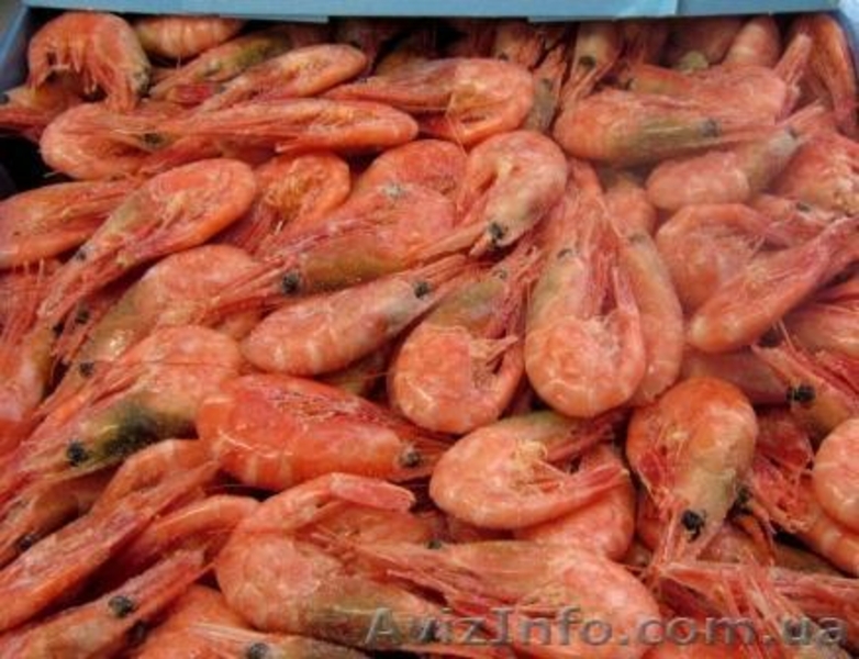 Морепродукты, креветки глубокой заморозки - <ro>Изображение</ro><ru>Изображение</ru> #3, <ru>Объявление</ru> #878834