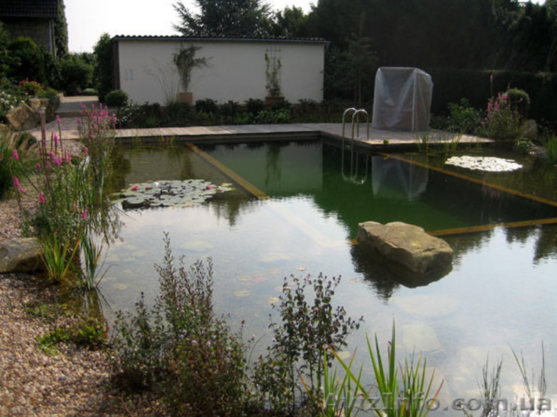 Искусственные водоемы, создание прудов, водопады - <ro>Изображение</ro><ru>Изображение</ru> #5, <ru>Объявление</ru> #891973