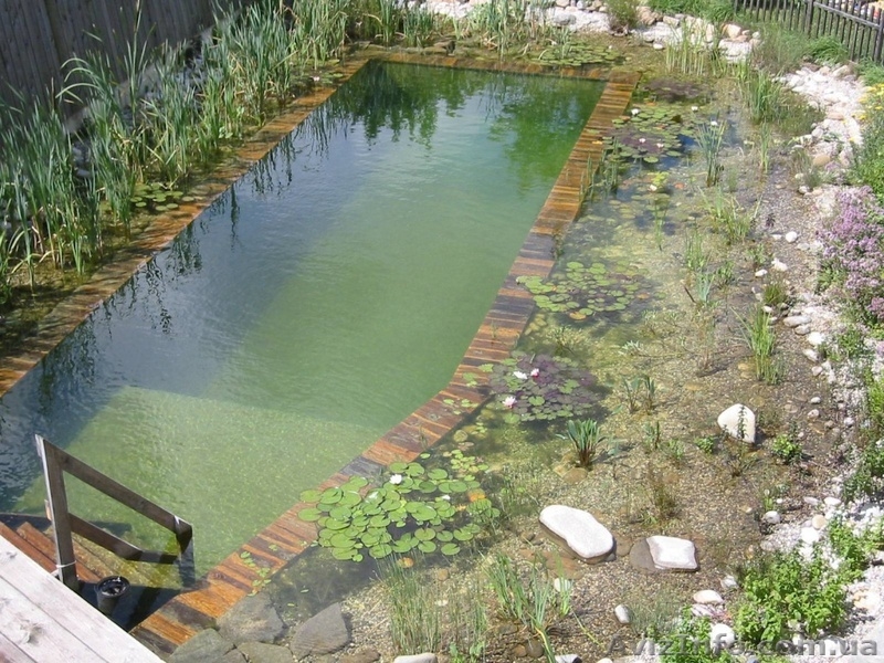 Искусственные водоемы, создание прудов, водопады - <ro>Изображение</ro><ru>Изображение</ru> #4, <ru>Объявление</ru> #891973