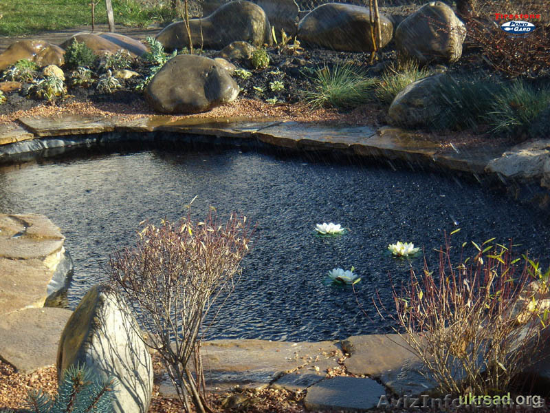 Искусственные водоемы, создание прудов, водопады - <ro>Изображение</ro><ru>Изображение</ru> #7, <ru>Объявление</ru> #891973